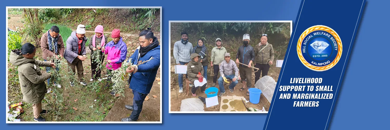 HILL SOCIAL WELFARE SOCIETY (HSWS)